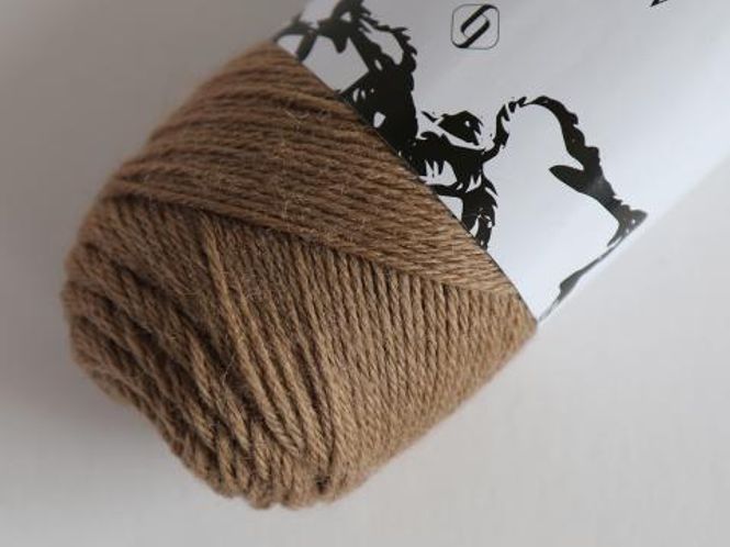 Hovedbilde 203 - Camel