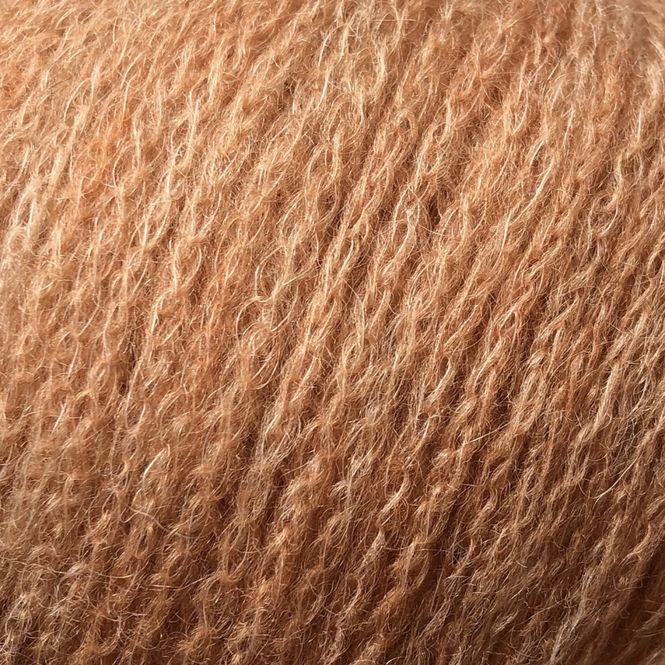 Hovedbilde 27 - Kamel