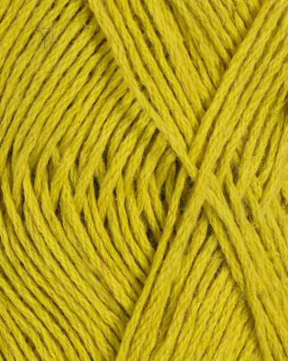 B141 - Lime