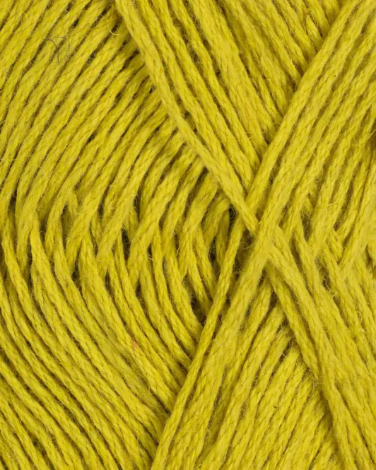 Hovedbilde Pelini - B141 Lime