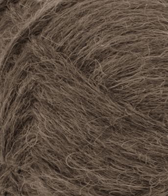 Poppy - 2581 After dark